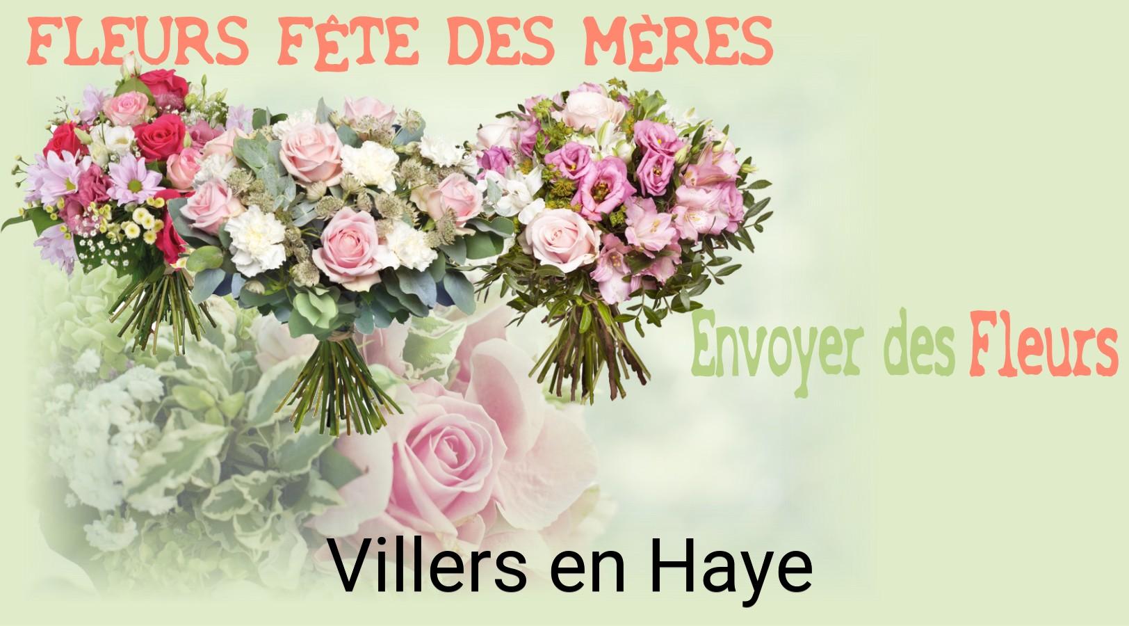 Bouquet de Fête des Mères livré à Villers-en-Haye